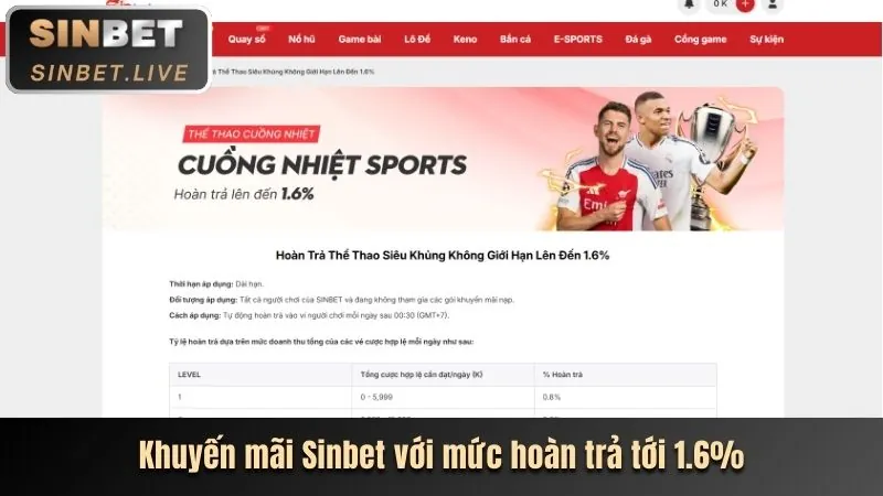 Giải thích cơ bản về cá cược thể thao